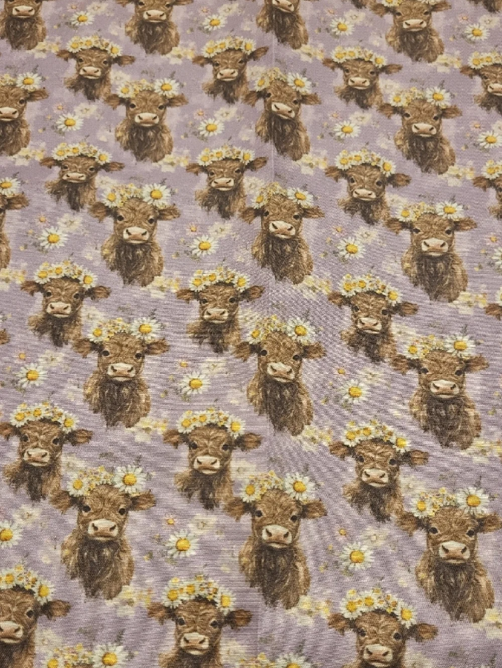 Highland Cows - Fat Quarters - 7 pieces - Picture 2 of 9